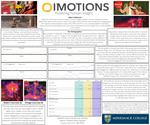 Consumer Behavior using iMotions by Steven Petrillo and Ian Montero