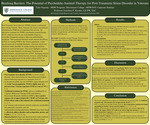 Breaking Barriers: The Potential of Psychedelic-Assisted Therapy for Post-Traumatic Stress Disorder in Veterans by Tyler Papciak