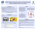 BRAVE: Breathing, Risk-taking, Anxiety, and Vagal Enhancement by Blake Hickey