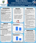 Waldo or Wal-don't: A Study in Attention and Multitasking by Jillian Trudeau, Annie Delaney, Emily Brouder, and Marissa Meddock