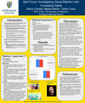 Split Focus: Investigating Visual Attention with Competing Tasks by Alexis Cloutier, Madaline Martin, and Carter Cress
