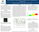 Understanding Where Microplastics are Located and their Concentration in the Lamprey River by Alexis Byrne, Ben McDonnell, Daniel Ayanian, Summer O'Rourke, and Amber Smith