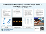 Squat Biomechanics: A Comprehensive Approach to Strength, Mobility, & Reducing Injury Risk to Lower Back by Ryan Austin