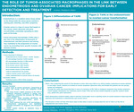 The Role of Tumor-Associated Macrophages in the Link Between Endometriosis and Ovarian Cancer: Implications for Early Detection and Treatment by Madalynn Gilpin