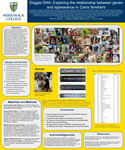 Doggie DNA: Exploring the relationship between genes and appearance in Canis familiaris