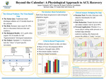 Beyond the Calendar: A Physiological Approach to ACL Recovery