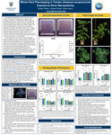 Whole Plant Phenotyping in Tomato (Solanum lycopersicum) Exposed to Silver Nanoparticles