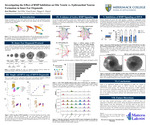 Investigating the Effect of BMP Inhibition on Otic Vesicle vs. Epibranchial Neuron Formation in Inner Ear Organoids