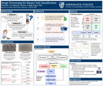 Image Processing for Binary Soil Classification