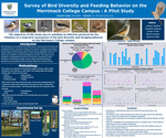 Survey of Bird Diversity and Feeding Behavior on the Merrimack College Campus: A Pilot Study